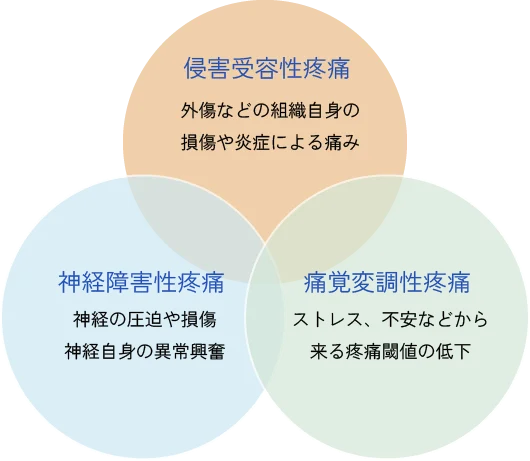 痛みの３つのタイプイメージ